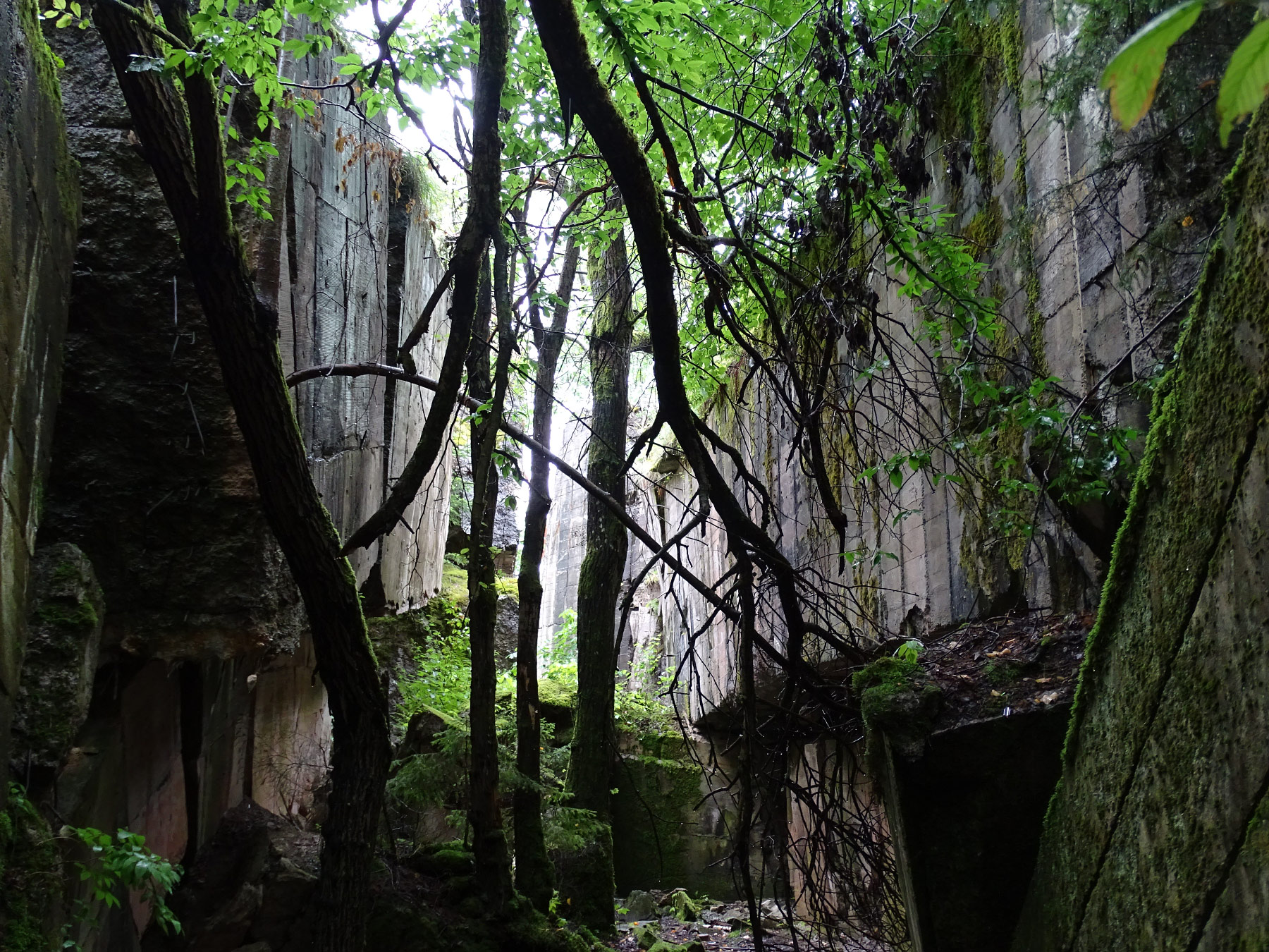 Ruins of Bunker Complex Wolfsschanze - Hitler Eastern Headquarters, Gierloz, Masuria